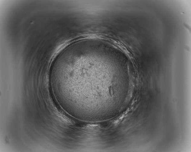 X0000096950055200802151247