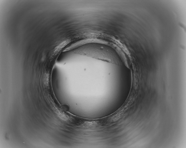 X0000096950057200802151247