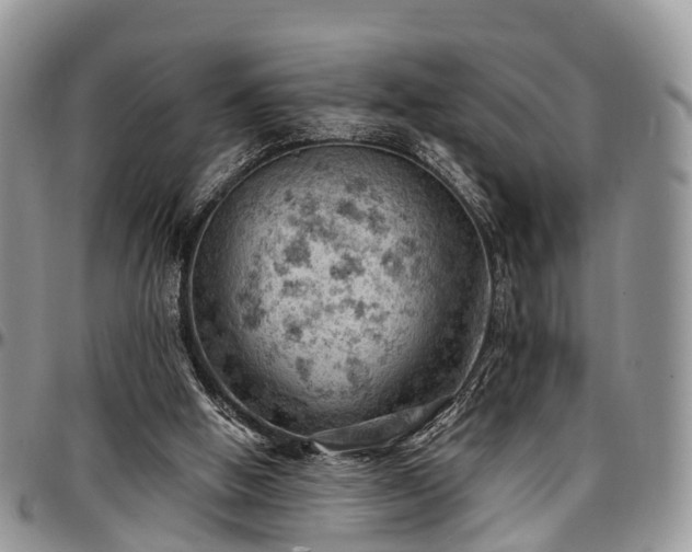 X0000096950058200802151247
