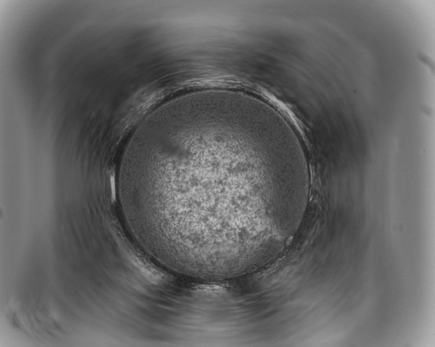 X0000096950061200802151247
