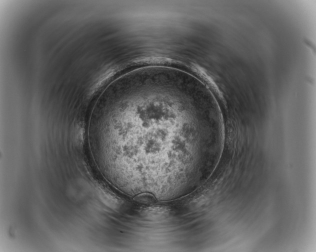 X0000096950063200802151247