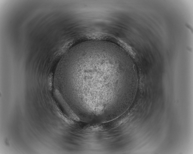 X0000096950065200802151247