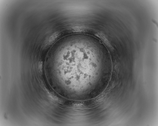 X0000096950066200802151247
