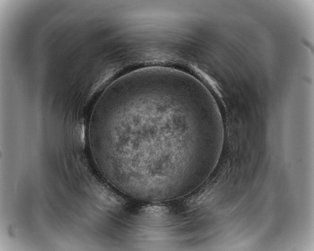 X0000096950067200802151247