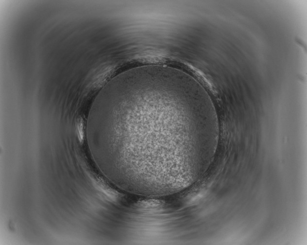 X0000096950069200802151247