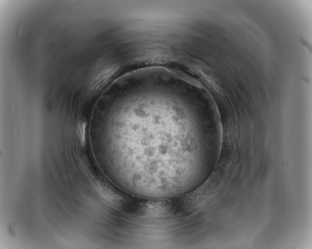 X0000096950070200802151247