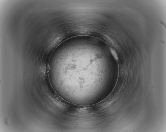 X0000096950072200802151247