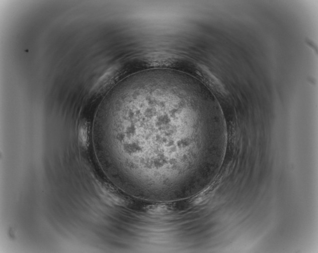 X0000096950074200802151247