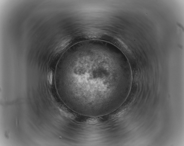X0000096950076200802151247