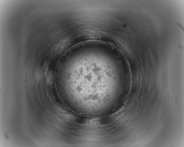 X0000096950078200802151247
