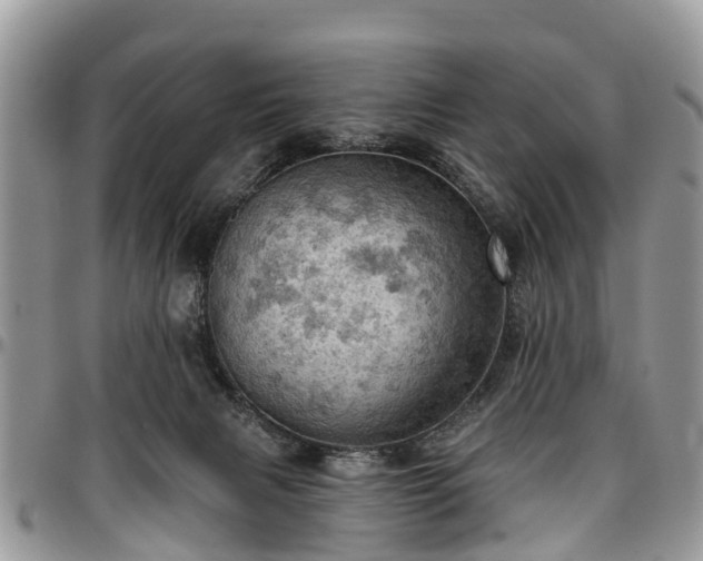 X0000096950079200802151247