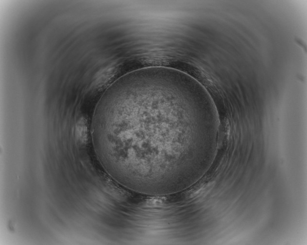 X0000096950080200802151247