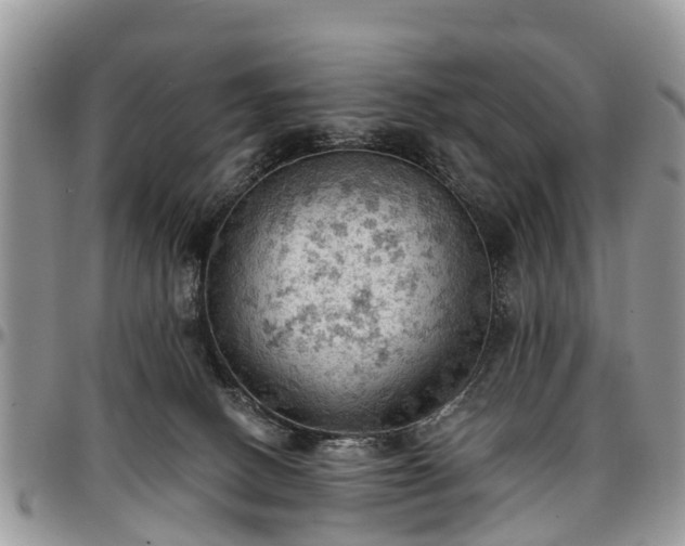 X0000096950082200802151247