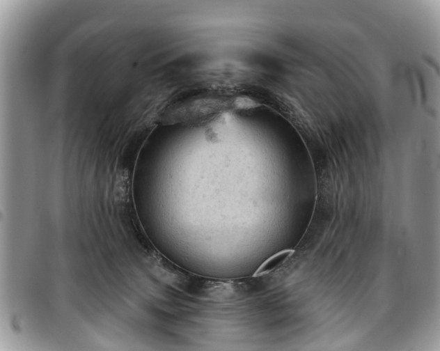 X0000096950083200802151247