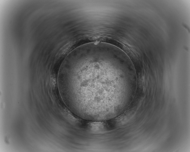 X0000096950085200802151247