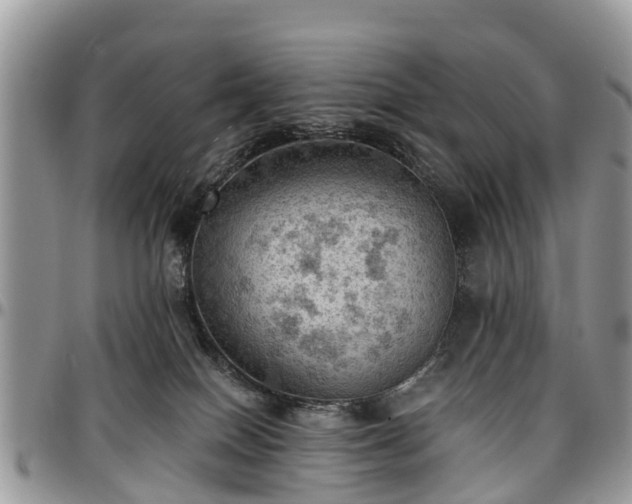 X0000096950086200802151247