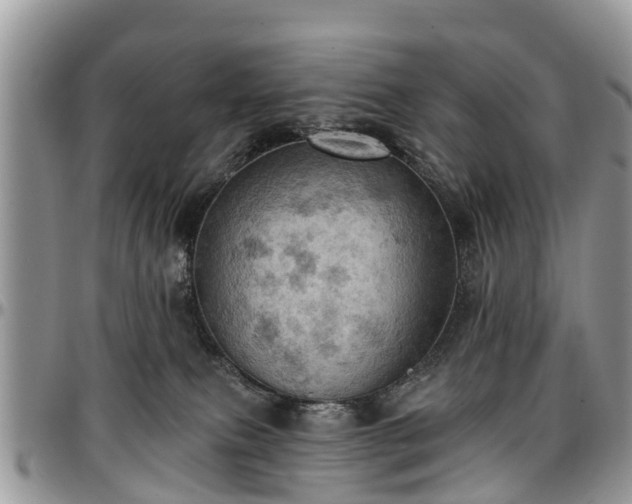 X0000096950087200802151247