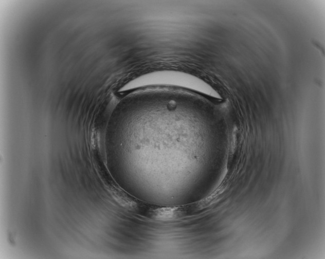 X0000096950090200802151247