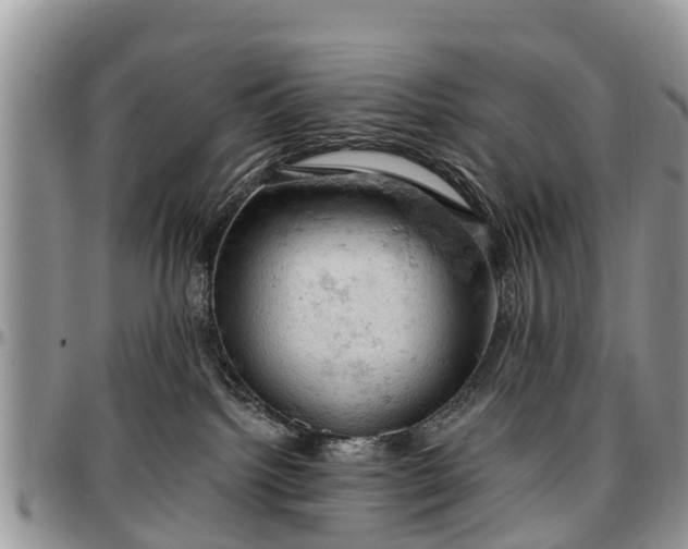 X0000096950092200802151247