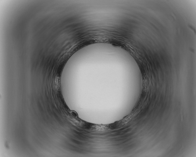X0000096950093200802151247