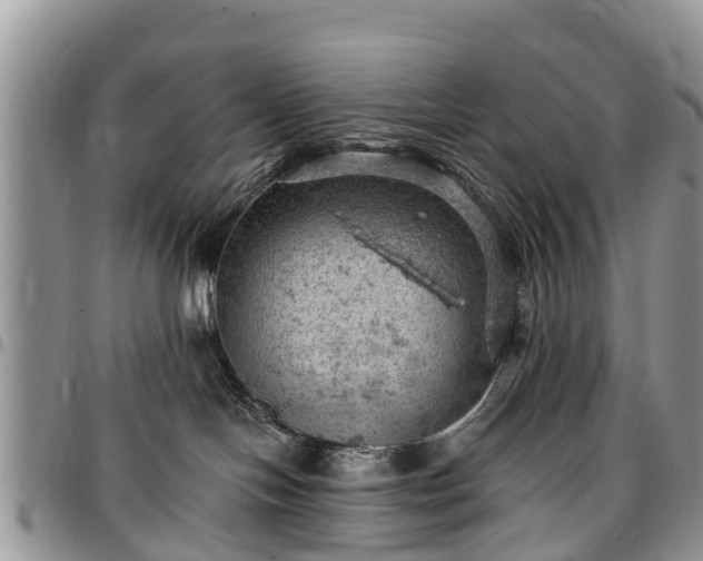 X0000096950094200802151247