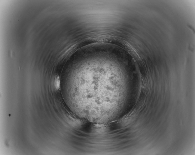 X0000096950095200802151247