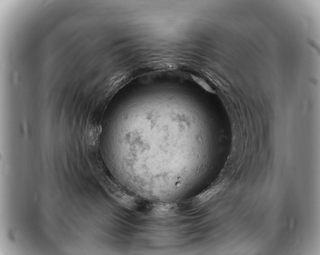 X0000096950096200802151247