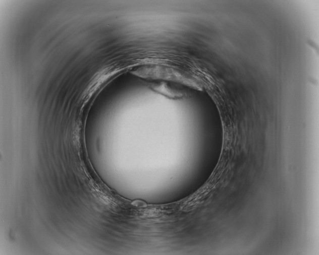 X0000096950098200802151247