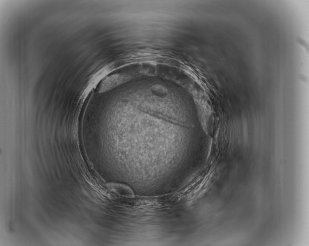 X0000096950099200802151247