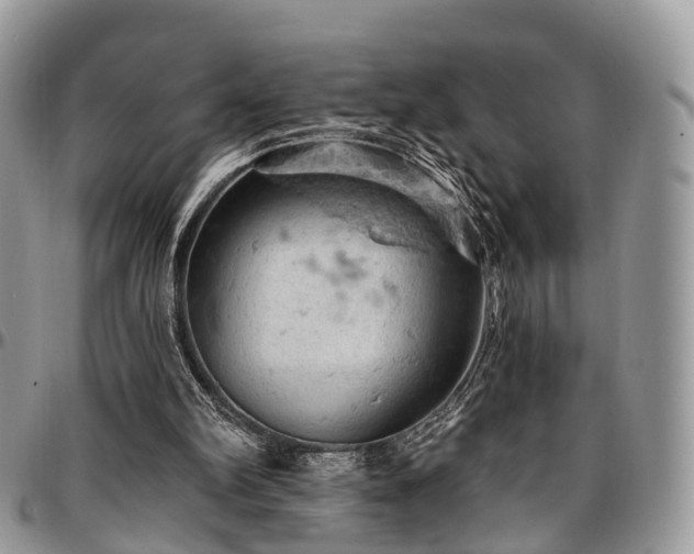 X0000096950102200802151246
