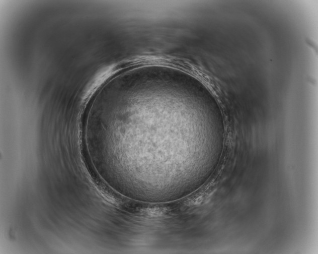 X0000096950103200802151246