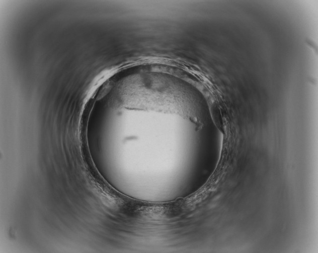 X0000096950104200802151246