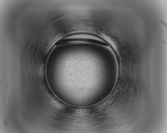 X0000096950105200802151246