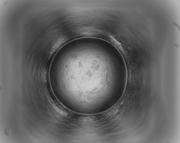 X0000096950106200802151246