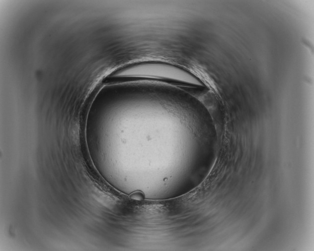 X0000096950108200802151246