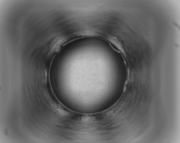 X0000096950109200802151246