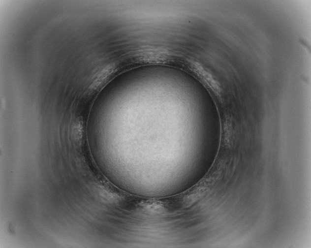 X0000096950113200802151246