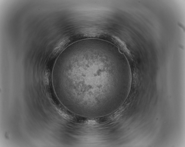 X0000096950114200802151246