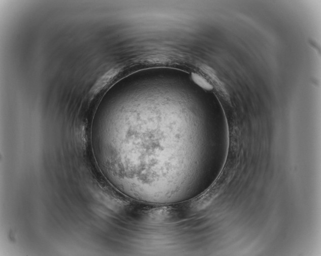 X0000096950116200802151246