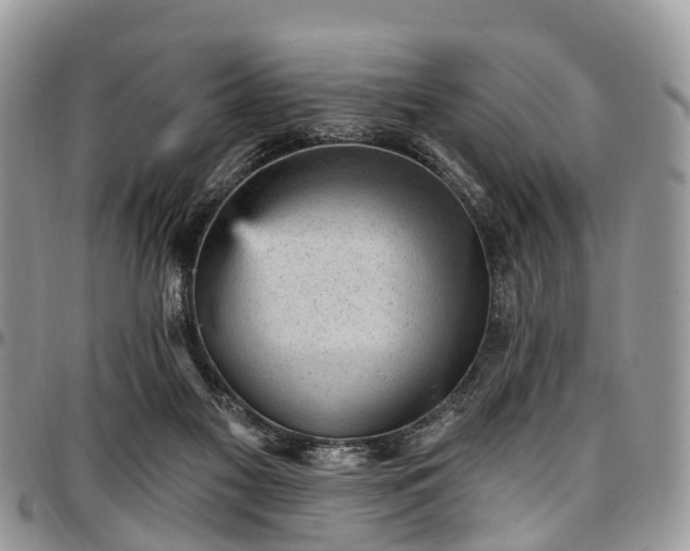 X0000096950117200802151246