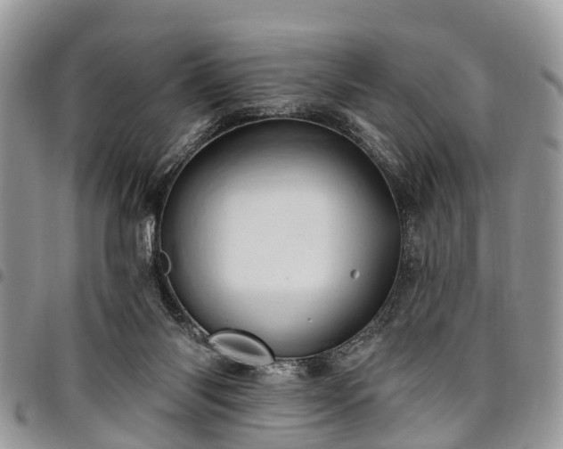 X0000096950118200802151246