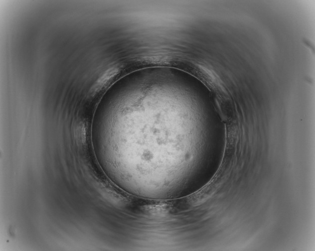X0000096950120200802151246