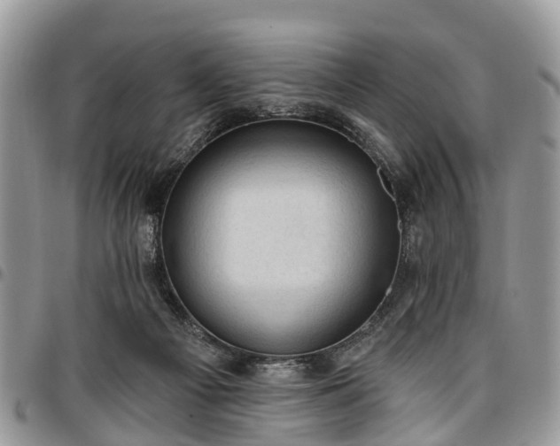 X0000096950121200802151246