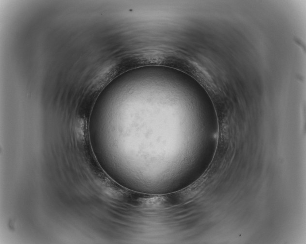 X0000096950122200802151246