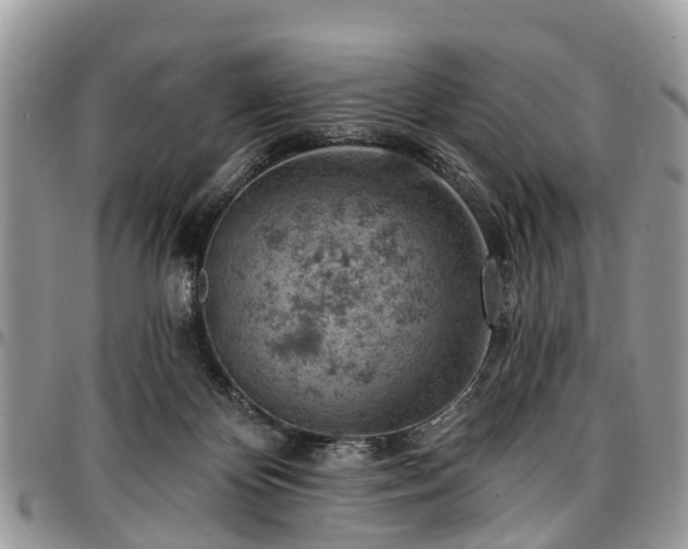 X0000096950124200802151246