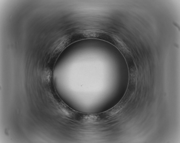 X0000096950125200802151246