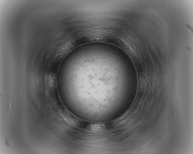 X0000096950126200802151246