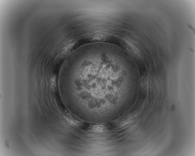 X0000096950127200802151246