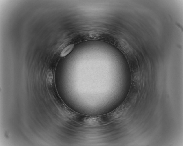 X0000096950129200802151246