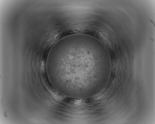 X0000096950130200802151246